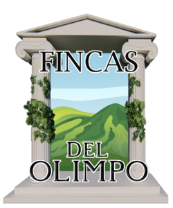 Logo Fincas